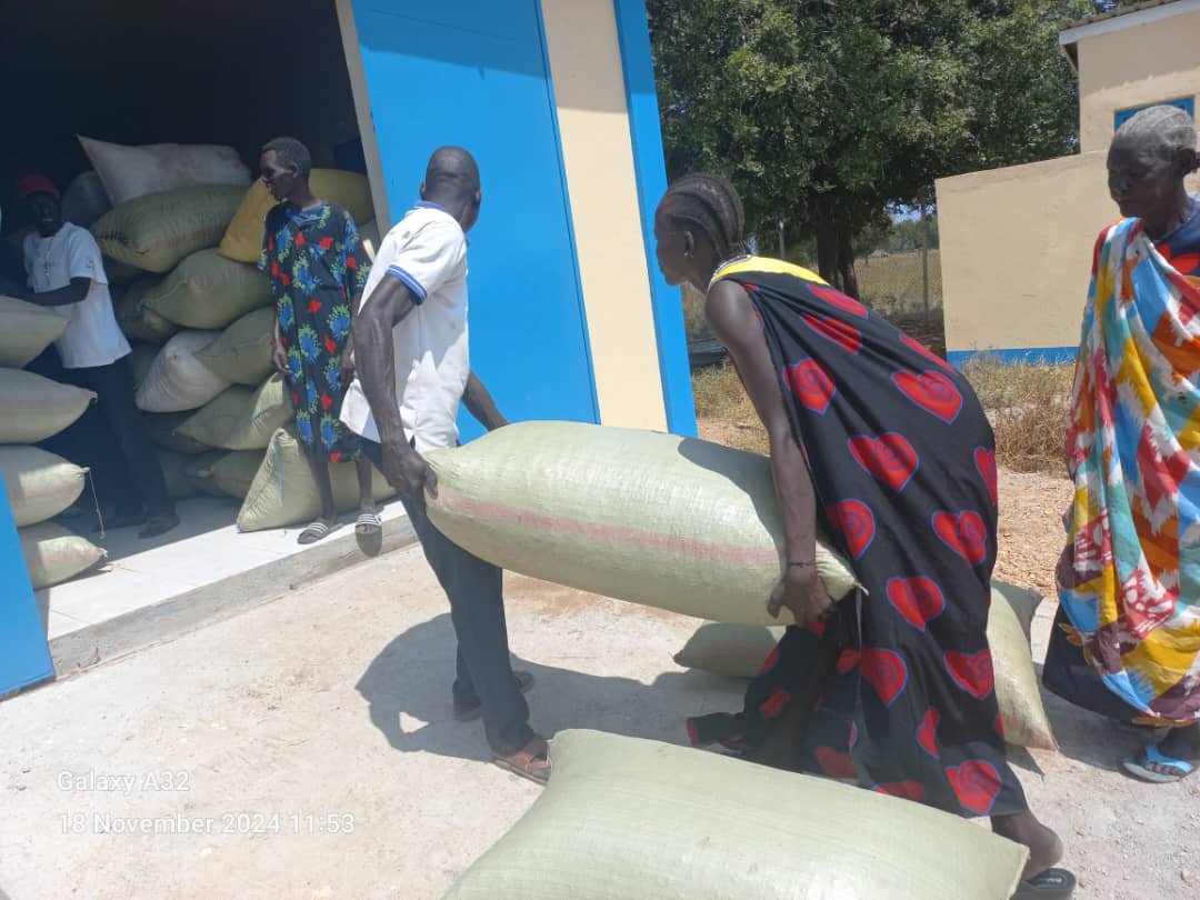 Delivery of Groundnuts to Moridi ABC in Terekeka County